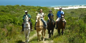 Exploring Gansbaai On Horseback